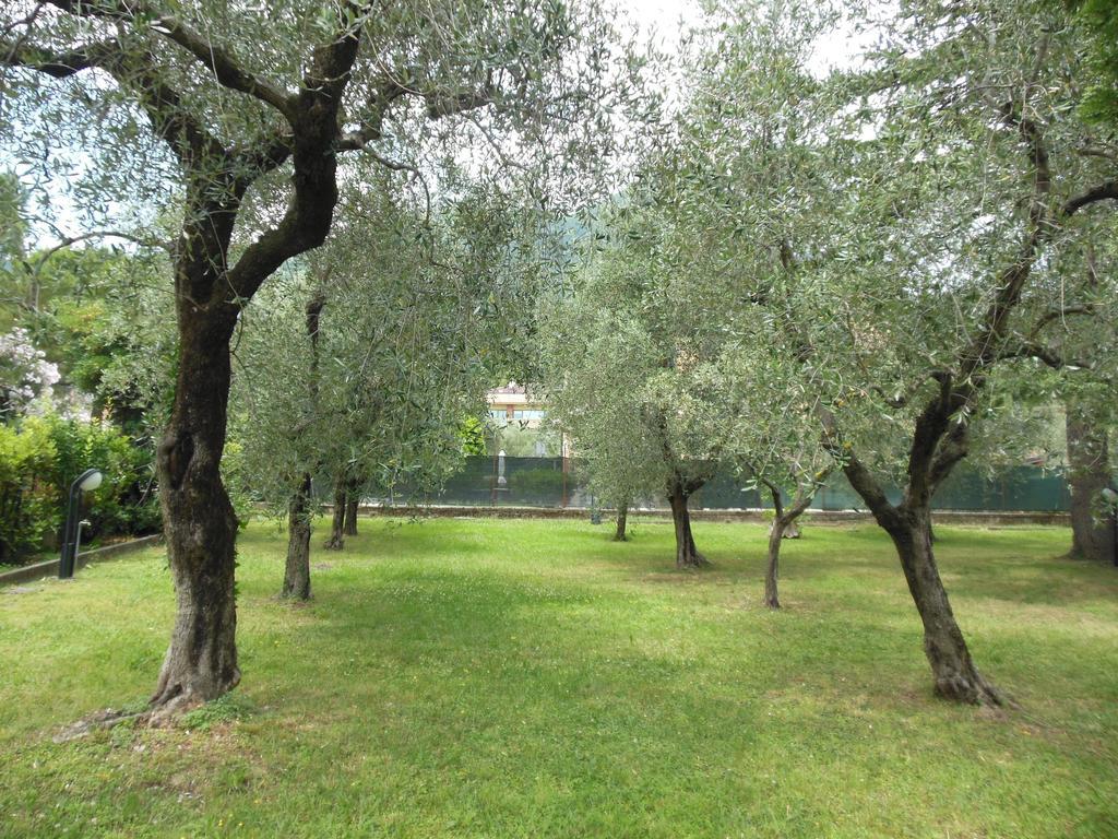Residenza Hotel Garden Toscolano Maderno Bagian luar foto